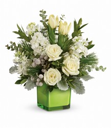 Teleflora's Winter Pop Bouquet from Arjuna Florist in Brockport, NY